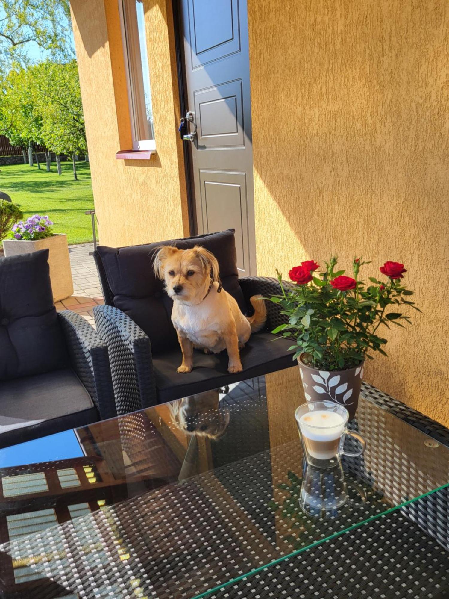 Namelis Rugile Appartement Druskininkai Buitenkant foto